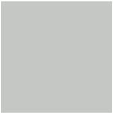Color RAL 105