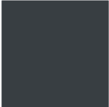Color RAL 117